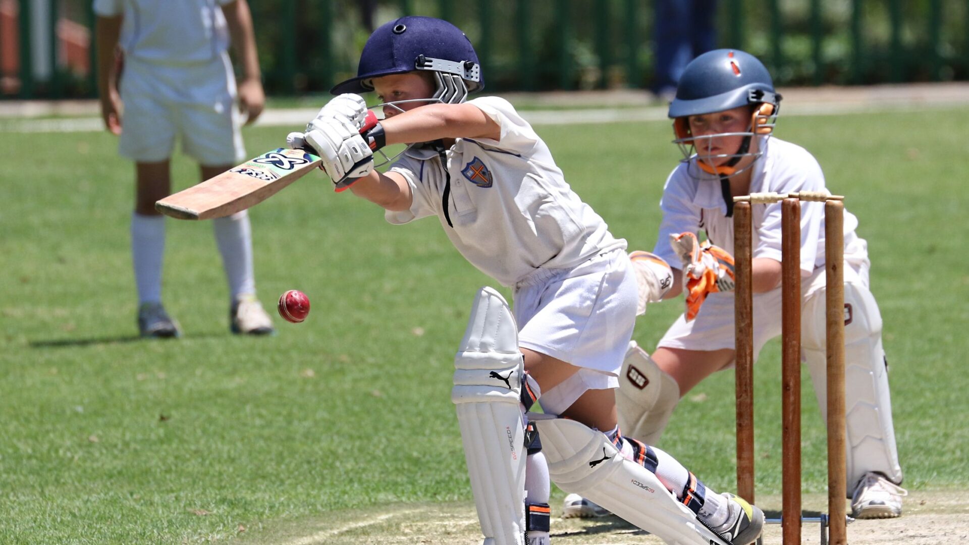 Junior Cricket Clubs Sydney Gain Attention as Families Explore Kids’ Sports
